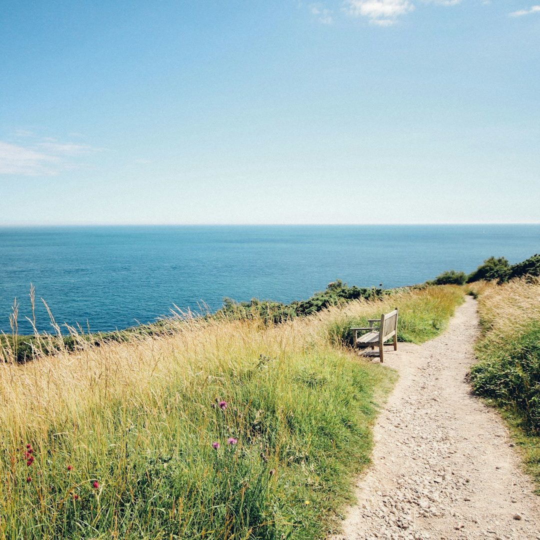 Un chemin vers des transitions de vie plus sereines Chemin en bord de mer baigné de lumière symbolisant la sérénité et l’accompagnement lors des transitions de vie